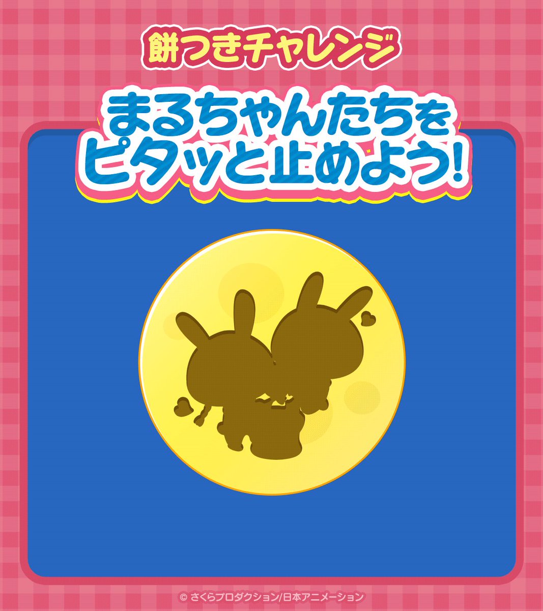 まるちゃん（感謝） 新緑の5月、たのしいことがありそうでワクワクするね！ お誕生日
