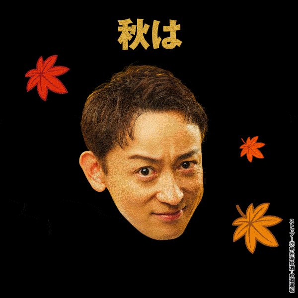 早いもの勝ち！霧島、鍛高譚、スプリングバレー、サントリー生ビールなど合計７８本 早いもの勝ち！霧島、鍛高譚、スプリングバレー、サントリー