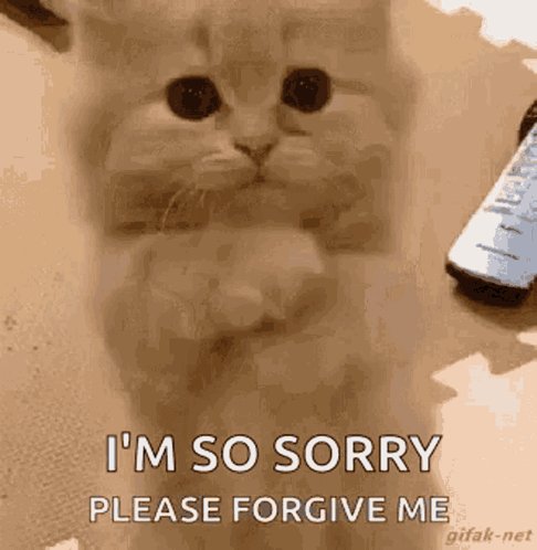 ⭐️ハンドメイド作品 ⭐️ご確認用 YKK 玉付き ファスナー 引き手 ゴールド 14cm 1本 全34色 □ ykk 止め