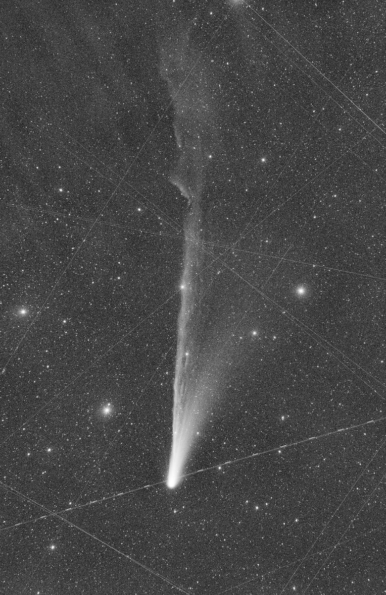 とうぃんくる様•*¨*•.¸♬︎専用ページ✨ 寻乾 (@Zxunqian) / Posts / X