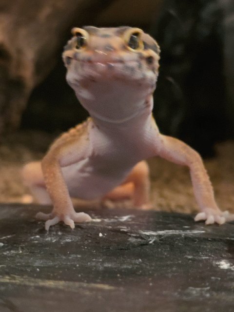 こなっこ (@KzxHana) / Posts / X