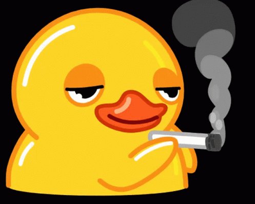 cigarette duck bia's Gif on X
