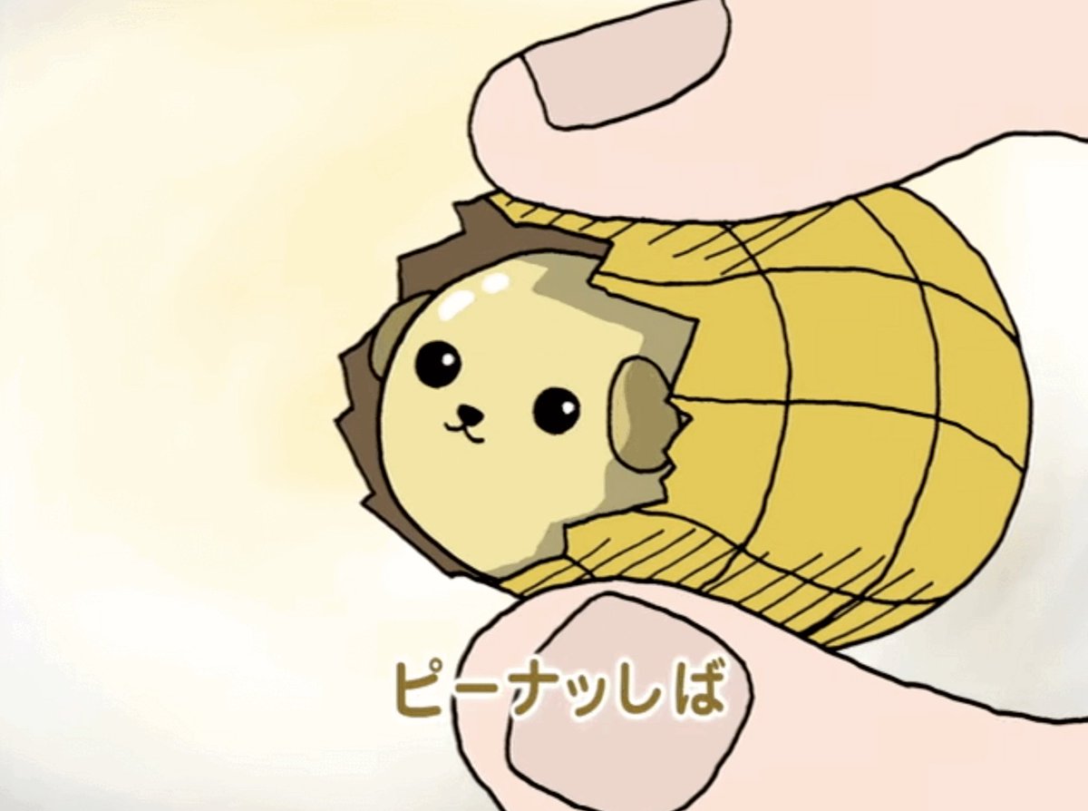 豆しば (@mame_official) / Posts / X