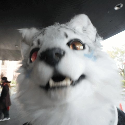 会って遊んでみたい人がいいねくれる