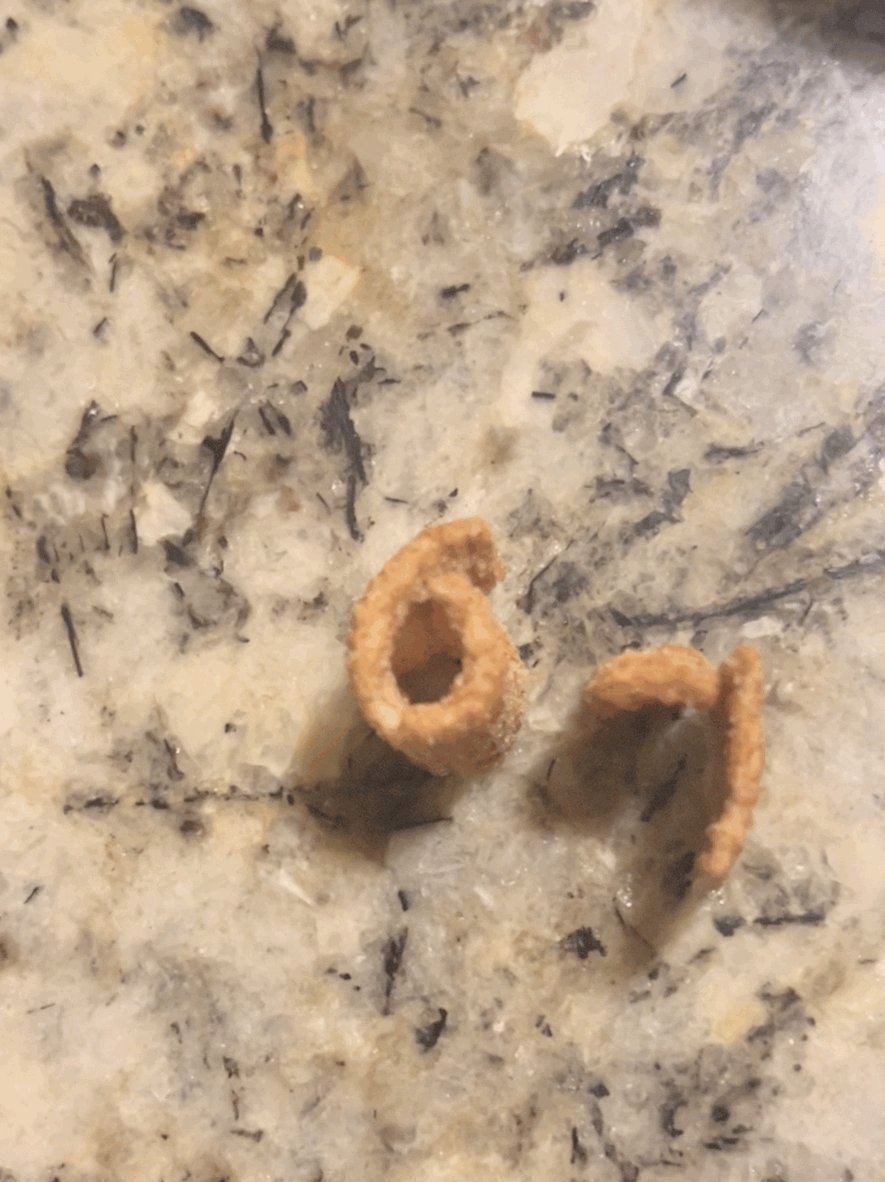 Cinnamon Toast Crunch (@CTCSquares) / Posts and Replies / X