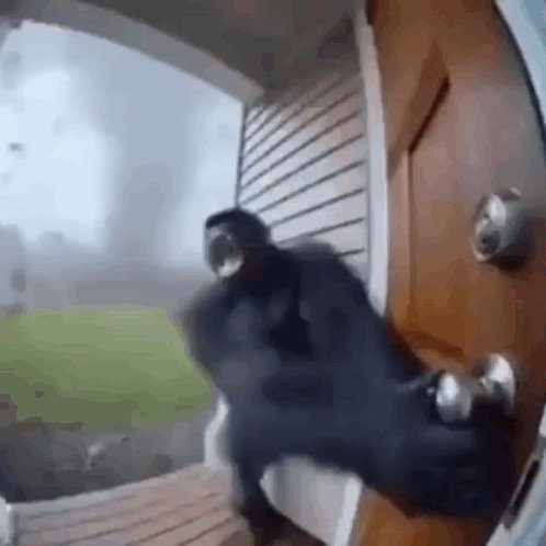 Robert Sanchez more assists than “Flo Wirtz”  https://t.co/PeaR7iNcil