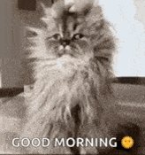 good morning #morning #work #job #tired https://t.co/gMClKghZpI<a href="/tag/morning"class="tags">#morning</a><a href="/tag/work"class="tags">#work</a><a href="/tag/job"class="tags">#job</a><a href="/tag/tired"class="tags">#tired</a>