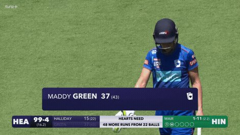 Green shop 99 v4