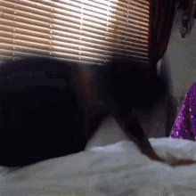 Sleep bitch sleep https://t.co/1xCkcE9otb<a href="/tag/nsfw_twt"class="tags"><span>#nsfw_twt</span></a><a href="/tag/nsfw_acc"class="tags"><span>#nsfw_acc</span></a>