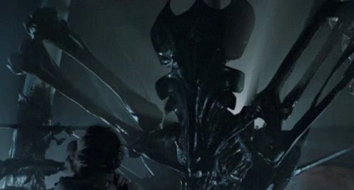All I know is, I killed a baby scorpion, inside my home. That means, mother is nearby...... https://t