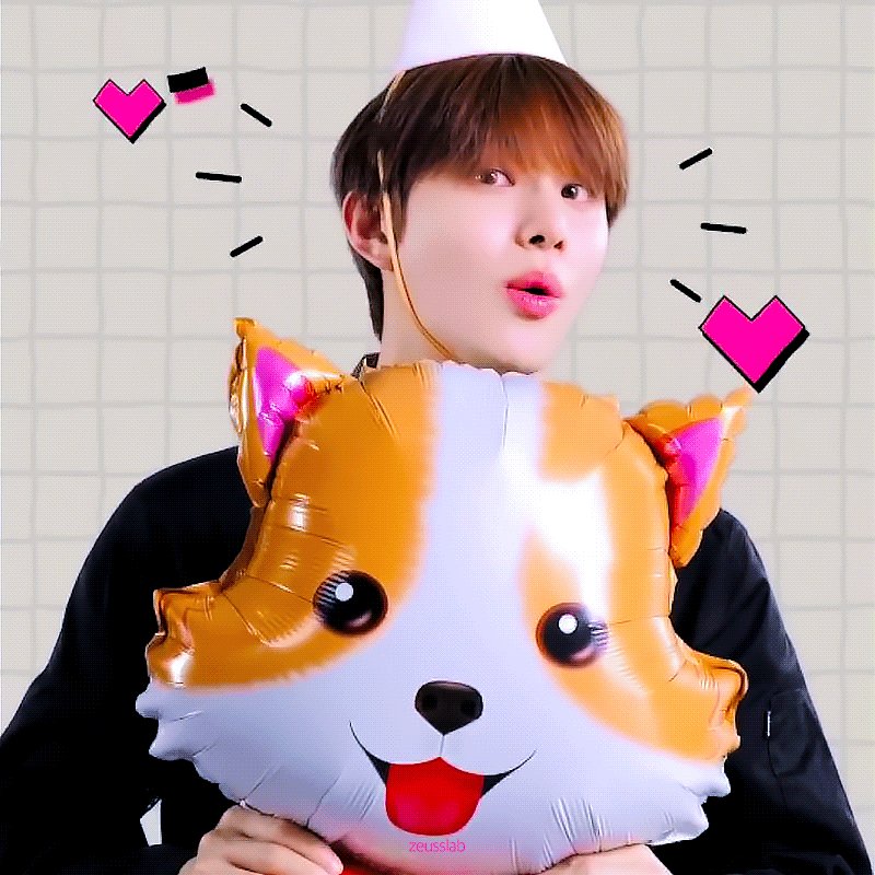 Bts top corgi hat
