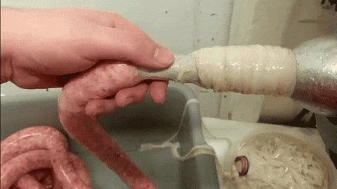 🍕 https://t.co/edRPrL2vtK