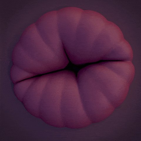 All work is done now my ass is open https://t.co/o6ywKXXbXl