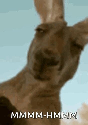 Nerd search for the day:  Hong Kong B virus https://t.co/LU1FGHUMEl