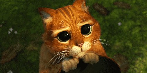 I LEFT MY STUFFIE AT HOME ??  and I'll be in LA 4 whole days without him https://t.co/eOBLqRNbxt