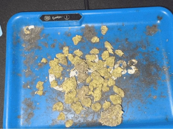 And it&rsquo;s time for a nap&hellip; again. https://t.co/xwLsBMsUxK