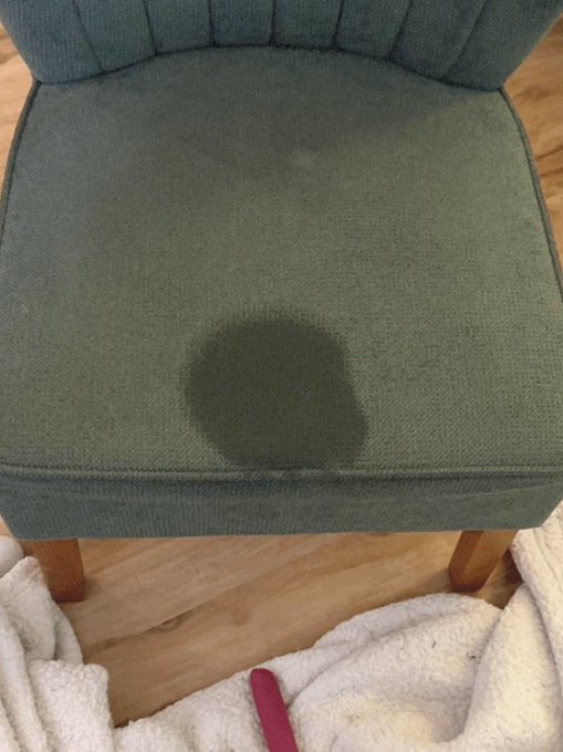 S.. you owe me a new chair after our Skype today 😂😄 https://t.co/Vlbuedt7tW<a href="/tag/x3show"class="tags"><span>#x3show</span></a>