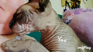 Heteroflexible guys on gay cruising sites when they see a transman #caturday #hookup https://t.co/xX<a href="/tag/caturday"class="tags"><span>#caturday</span></a><a href="/tag/hookup"class="tags"><span>#hookup</span></a>