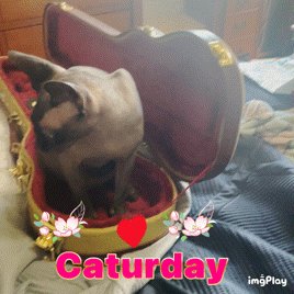 Dr. Pickle thinks it&rsquo;s time for me to update my hair style  Check it out here: https://t.co/ITwmVOQIeV<a href="/tag/panties"class="tags"><span>#panties</span></a><a href="/tag/ass"class="tags"><span>#ass</span></a><a href="/tag/fatassfriday"class="tags"><span>#fatassfriday</span></a>