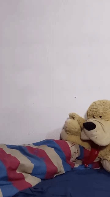 JadaPute is live now! https://t.co/2dnHSzVPHv https://t.co/N2UhnDBtBf<a href="/tag/goddess"class="tags"><span>#goddess</span></a><a href="/tag/feet"class="tags"><span>#feet</span></a><a href="/tag/foot"class="tags"><span>#foot</span></a><a href="/tag/pedicure"class="tags"><span>#pedicure</span></a><a href="/tag/pies"class="tags"><span>#pies</span></a><a href="/tag/mistress"class="tags"><span>#mistress</span></a>