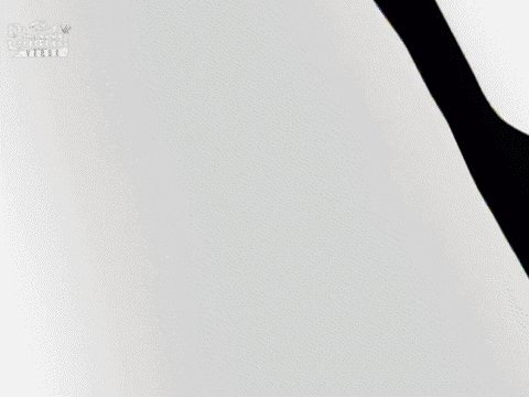 Work up to piss and can&rsquo;t stop listening to the new #Eminem album! Fuck sleep https://t.co/3JB4vQtFh<a href="/tag/eminem"class="tags"><span>#eminem</span></a>