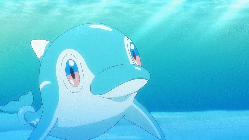 うみいるか ナミイルカ | PKM Wiki | Fandom