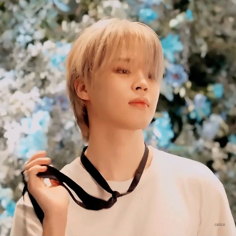 ❥지민¹³🫧 (@puppykittyJMs) / X