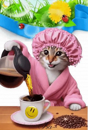 Woke up to a coffee send, now someone double it for breakfast  #coffee #findom #send https://t.co/tR<a href="/tag/coffee"class="tags"><span>#coffee</span></a><a href="/tag/send"class="tags"><span>#send</span></a><a href="/tag/findom"class="tags"><span>#findom</span></a>