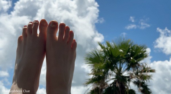 Back from a mini vacation! 💜 https://t.co/YIvp5J6br9<a href="/tag/throne"class="tags"><span>#throne</span></a><a href="/tag/wishlist"class="tags"><span>#wishlist</span></a>