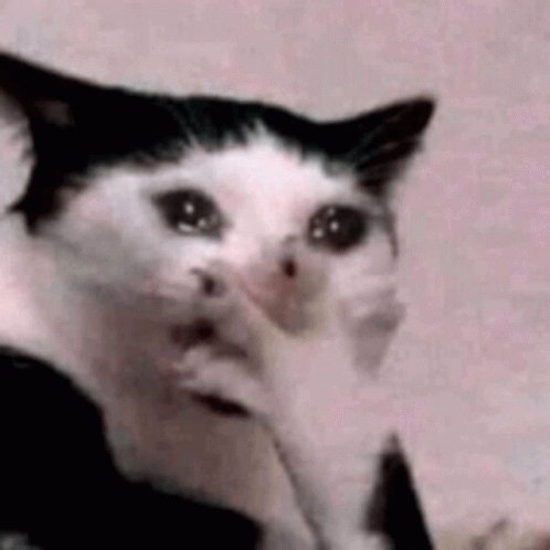 posted my design in the work chat and nobody commented on it https://t.co/kMqu6cpjRr