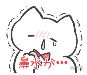 わなし (@tearoomsiblings) / Posts / X