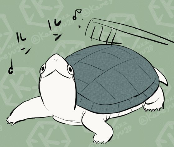 亀です 2502SK133_DAWN_BLACK_2.jpg?v=