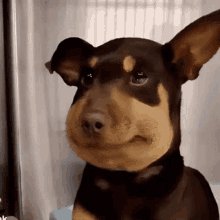 thinking about the time I carpooled with my coworker. his phone connected to the bluetooth and displayed