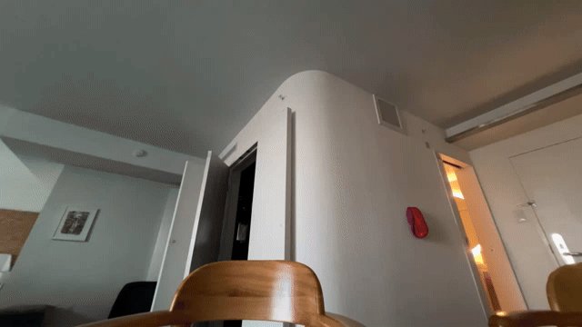 Alexis Fawx is live now! https://t.co/11enTIVPyy https://t.co/yxglffoZrM