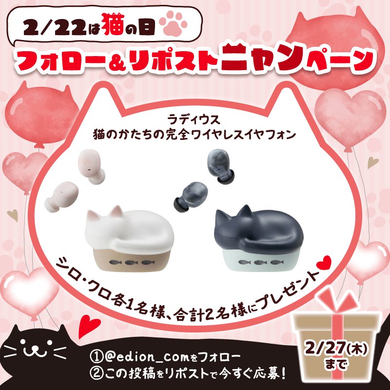 猫乃 あまね🎼🍍🍵 on X: 