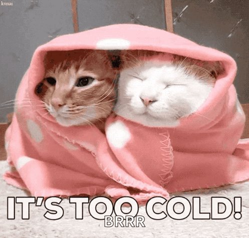 寒い朝です！一部の地域では、雪が一晩雪が降っていました。これは、朝の通勤の氷のような場所を意味する可