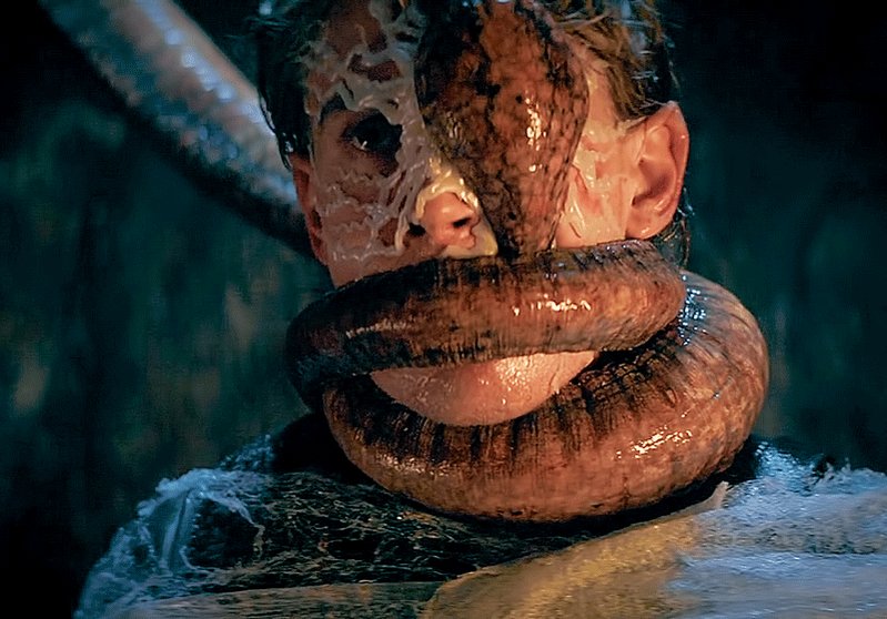 피와 땀과 기타 액체가 난무하는 축축한 드라마(?)Translate post