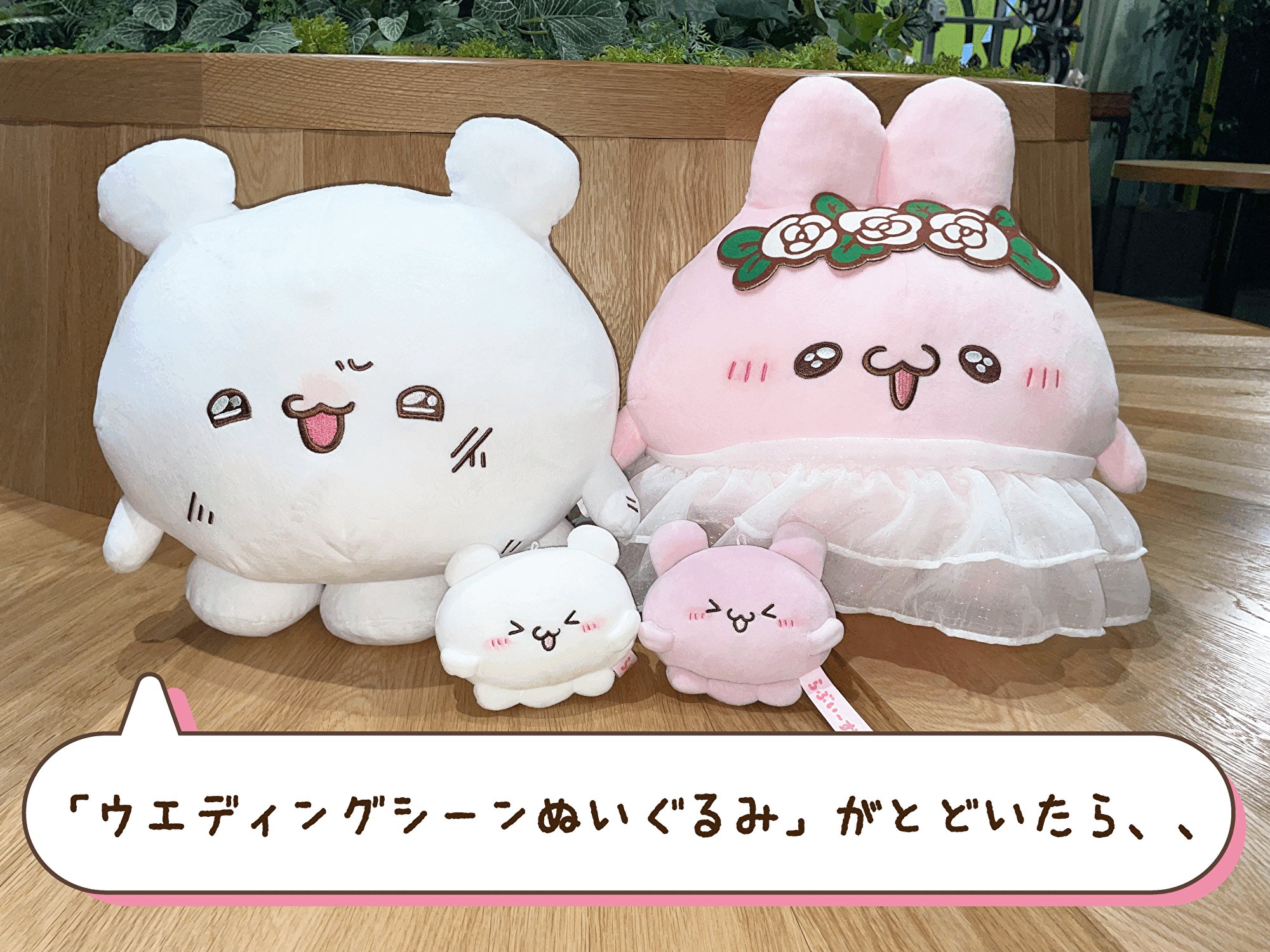 らぶいーず Amazon.co.jp: らぶいーず マスコット付きMサイズミラー