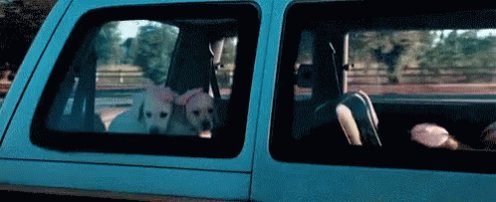 今晚带着窥视出去吗？准备延迟！