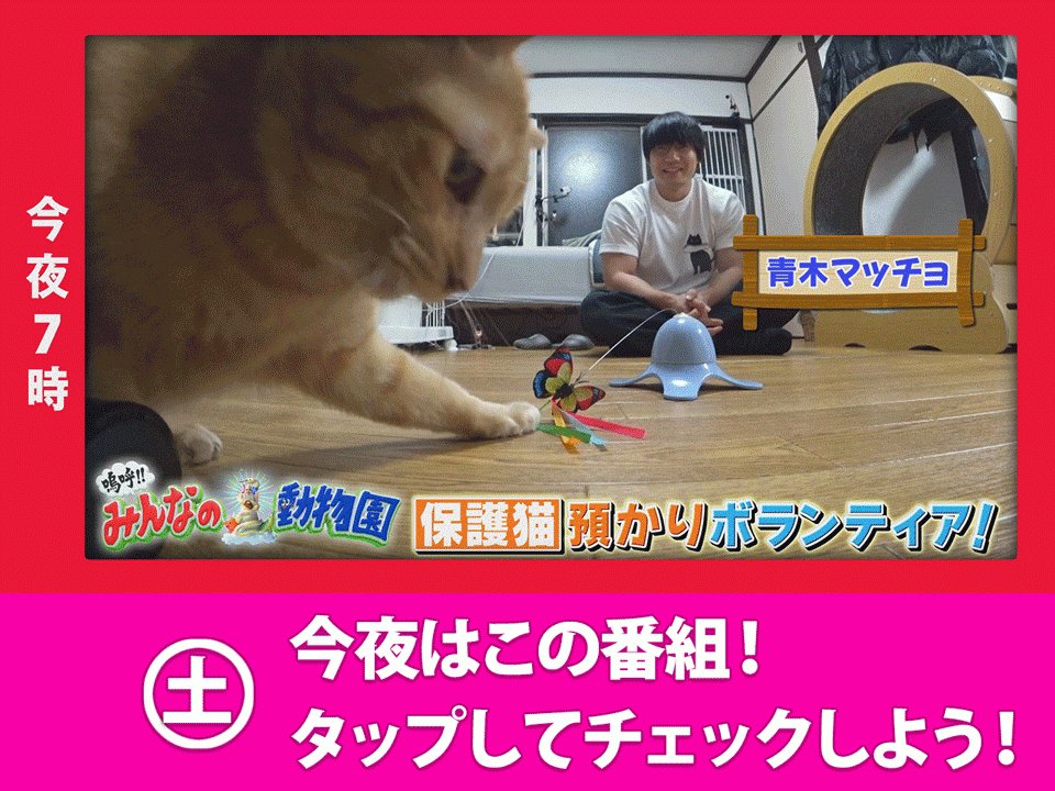 日テレ (@nittele_ntv) / X
