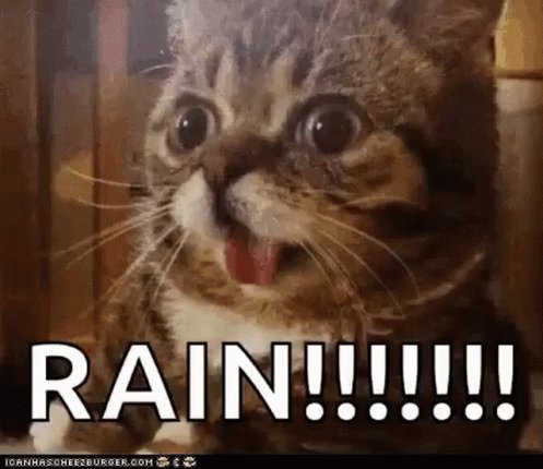 おはよう交通fam！ハッピーマンデー！雨の通勤に備えてください。