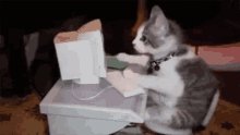 必ずニュースを共有してください！