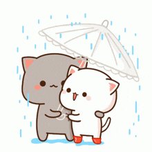 たけちゃん＠銀猫 (@Pkm12OQdzQdVmBO) / X