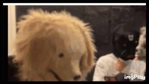 わんちゃんわんわんねこにゃんにゃん - メルカリ