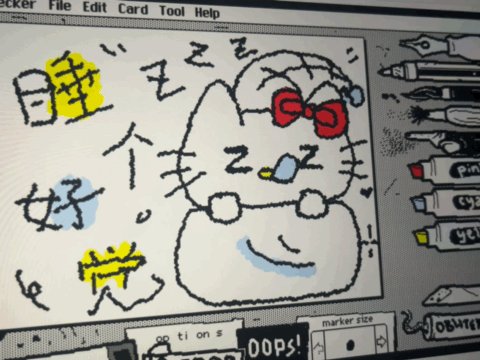 媒体预览