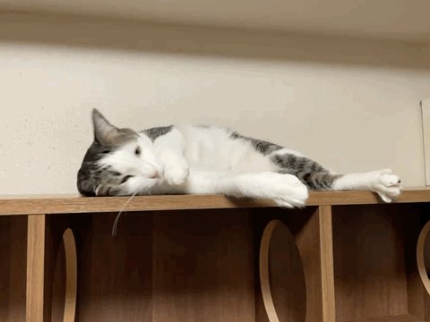 さねあつ on X: 