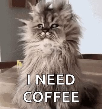 おはよう交通fam！幸せな火曜日。今日は余分なコーヒーの日です！