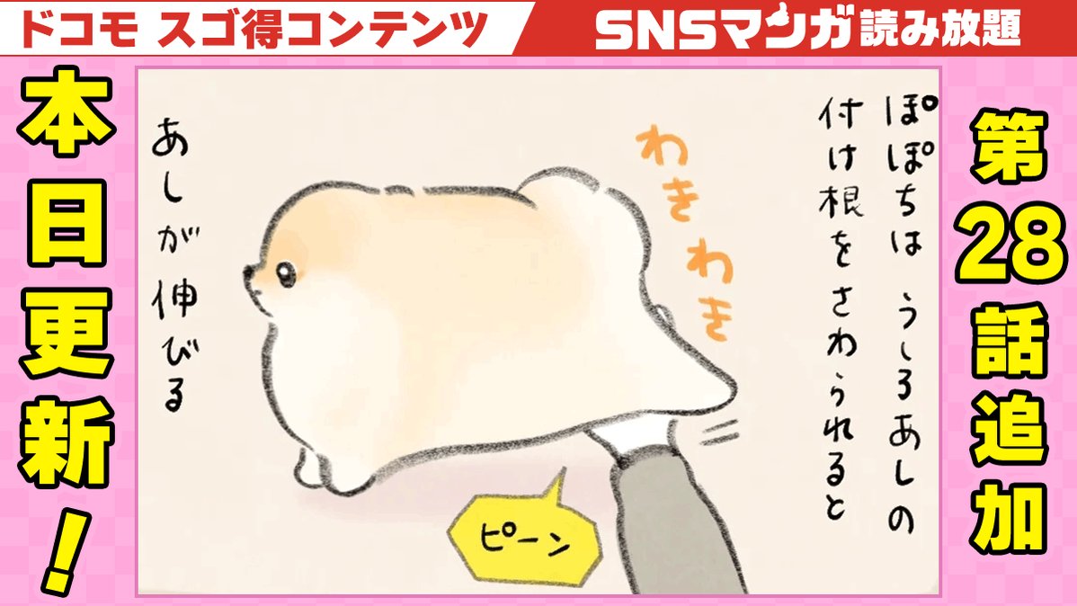 ぽこ︱ぽぽちの飼い主 on X: 