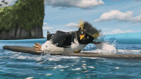 冲浪，伙计！