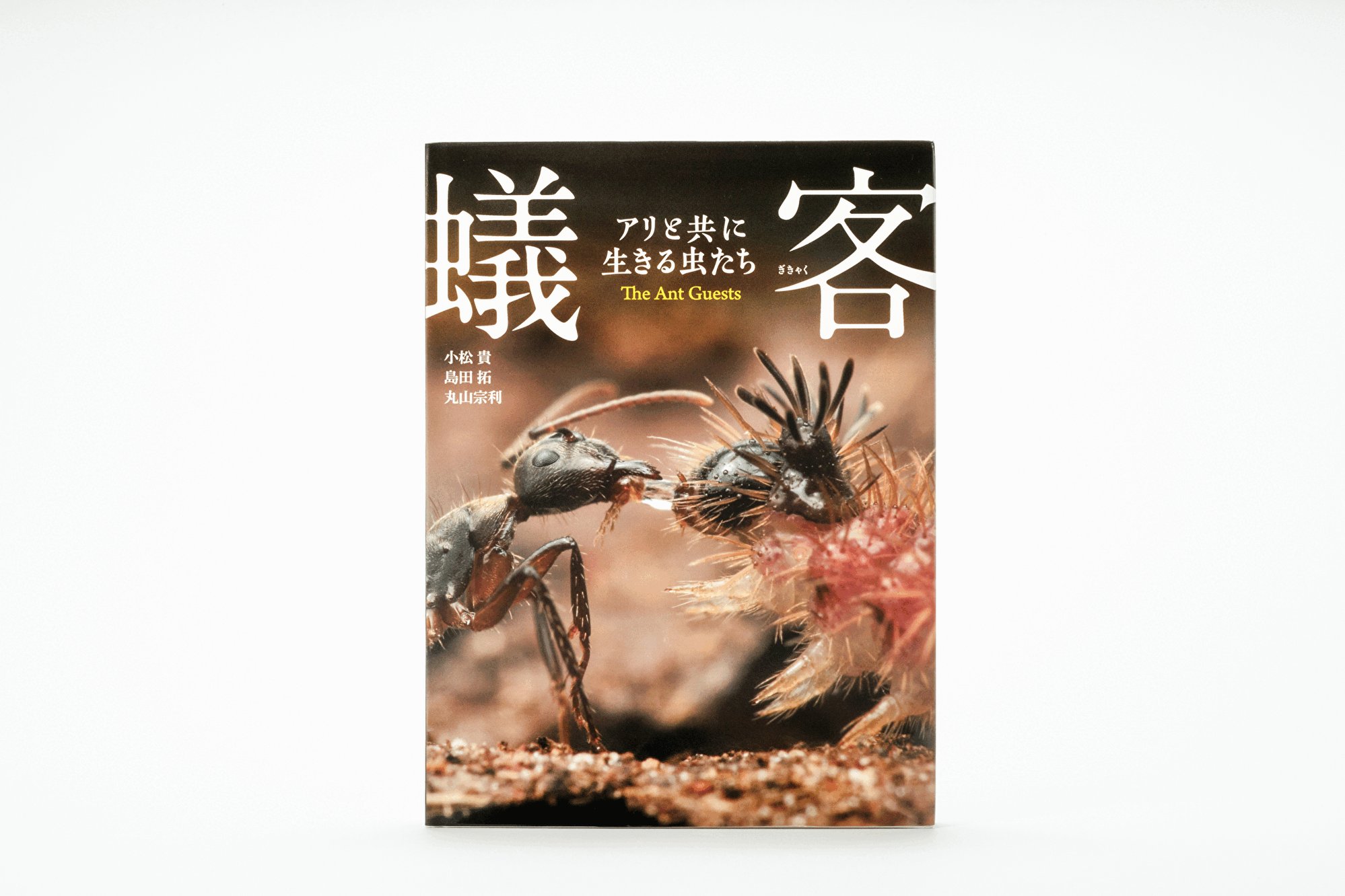 アリの巣の生きもの図鑑 = The Guests of Japanese An… アリの巣